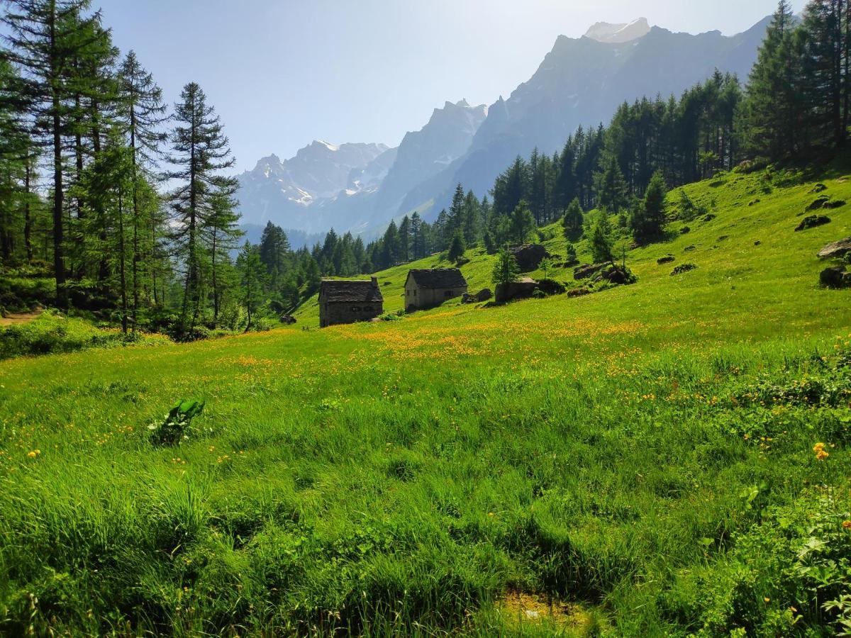 B&B Chalet Il Picchio Varzo Kültér fotó
