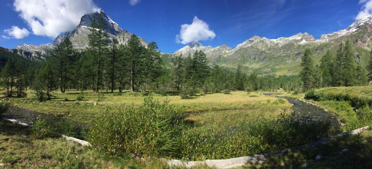 B&B Chalet Il Picchio Varzo Kültér fotó